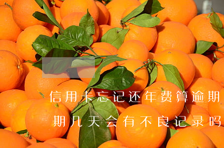 信用卡忘记还年费算逾期吗(忘记还信用卡逾期几天会有不良记录吗)