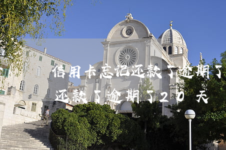 信用卡忘记还款了逾期了20天(信用卡忘记还款了逾期了20天)