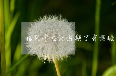 信用卡忘记逾期了有提醒吗