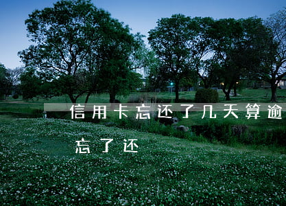 信用卡忘还了几天算逾期(信用卡逾期十几天忘了还)