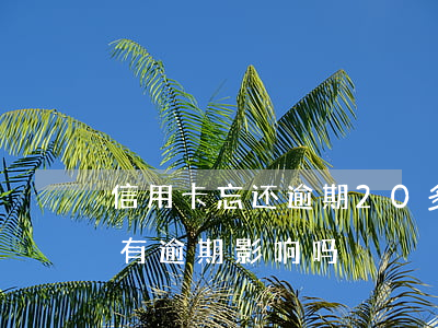 信用卡忘还逾期20多元(信用卡2天忘还了有逾期影响吗)