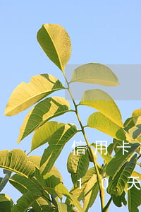 信用卡忘還了逾期10天(信用卡忘還了逾期10天免息)