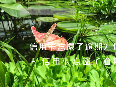 信用卡忘還了逾期2個(gè)月有影響嗎-信用卡忘還了逾期2個(gè)月有影響嗎怎么辦