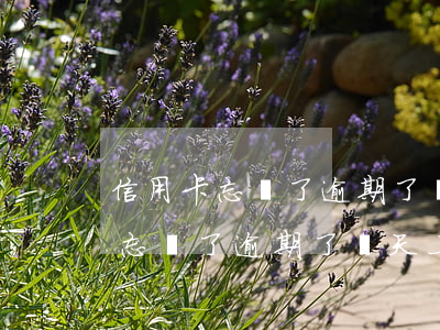 信用卡忘還了逾期了兩天上征信嗎-信用卡忘還了逾期了兩天上征信嗎有影響嗎