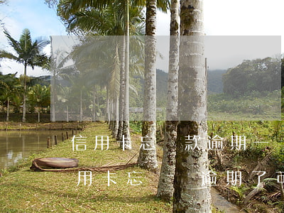信用卡忘還款逾期一個(gè)月(有一期信用卡忘記還,逾期了,可以多還一些么)