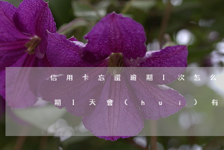 信用卡忘還逾期1次怎么辦(忘記還信用卡逾期1天會(huì)有不良記錄嗎)