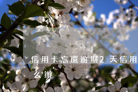 信用卡忘還逾期2天(信用卡忘還逾期2天怎么辦)