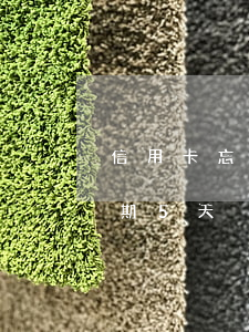信用卡忘還逾期4天怎么辦(忘記還信用卡逾期5天)