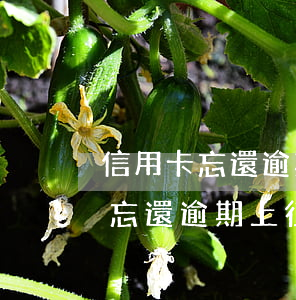 信用卡忘還逾期上征信有什么影響-信用卡忘還逾期上征信有什么影響嗎