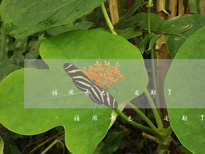 信用卡忘還逾期了會進(jìn)黑名單嗎-信用卡忘還逾期了會進(jìn)黑名單嗎怎么辦