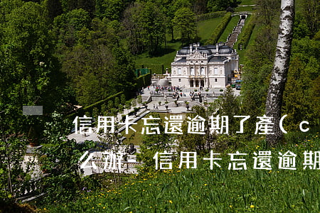 信用卡忘還逾期了產(chǎn)生利息怎么辦-信用卡忘還逾期了產(chǎn)生利息怎么辦呢