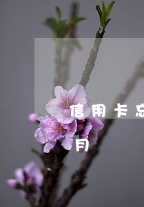 信用卡忘還逾期半個月(信用卡忘還逾期半個月)