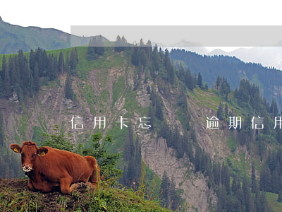 信用卡忘還錢逾期(信用卡忘還錢逾期了)