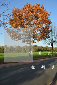 信用卡快逾期了可以推遲還嗎(你們的信用卡逾期多久了)