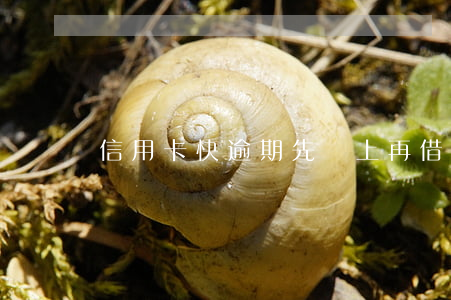 信用卡快逾期先還上再借出來(還信用卡晚了)