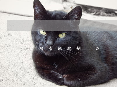 信用卡快逾期無力償還怎么辦