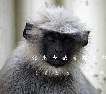 信用卡快逾期要找人借錢不(別人借錢不還導(dǎo)致我信用卡逾期)