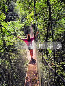 信用卡怎么上岸-信用卡怎么上岸比較快