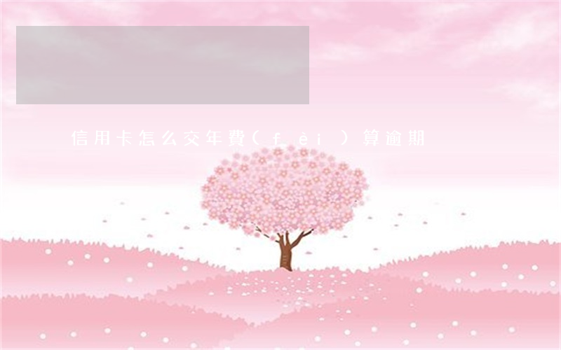 信用卡怎么交年費(fèi)算逾期