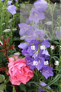信用卡怎么來的透支費(fèi)用(信用卡如何透支)