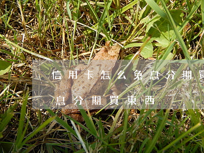 信用卡怎么免息分期買東西-信用卡怎么免息分期買東西