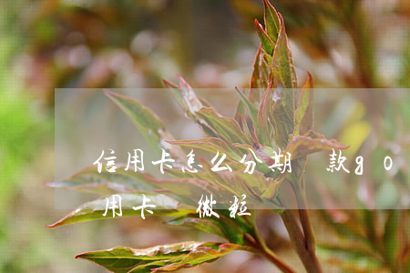 信用卡怎么分期還款go微粒貸-怎么用信用卡還微粒貸