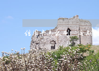 信用卡怎么刷會逾期(信用卡逾期怎么辦)