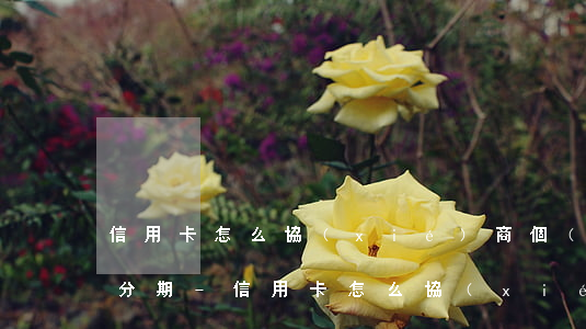 信用卡怎么協(xié)商個(gè)性化分期-信用卡怎么協(xié)商個(gè)性化分期查賬單沒變