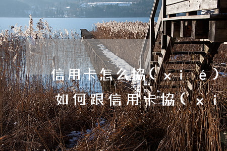 信用卡怎么協(xié)商停息分期還款-如何跟信用卡協(xié)商分期還款