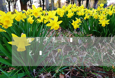 信用卡怎么協(xié)商停息掛賬分期-已經(jīng)分期的信用卡可以辦理停息掛賬嗎?