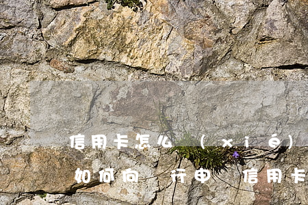 信用卡怎么協(xié)商停息掛賬電話-如何向銀行申請信用卡停息掛賬