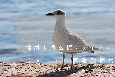 信用卡怎么協(xié)商先還本金 如何協(xié)商還款信用卡
