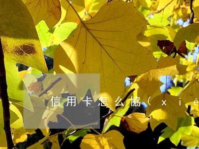 信用卡怎么協(xié)商多分期