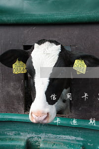 信用卡怎么卡逾期記錄查詢(怎么能查出信用卡逾期)