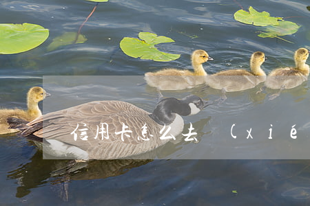 信用卡怎么去協(xié)商分期