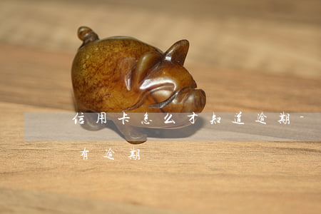 信用卡怎么才知道逾期-如何看信用卡有没有逾期