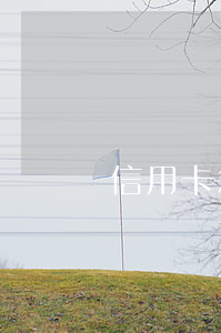 信用卡怎么掛息分期(怎么把信用卡停息掛賬)