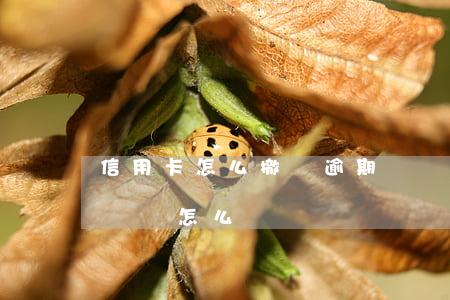 信用卡怎么撤銷逾期記錄(信用卡注銷了逾期記錄怎么辦)