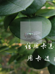 信用卡怎么會產(chǎn)生透支利息(信用卡透支利息什么意思)