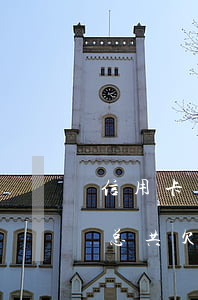 信用卡怎么查一共欠了多少钱(怎么看信用卡总共欠了多少钱)