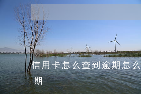 信用卡怎么查到逾期 怎么查信用卡是否有逾期