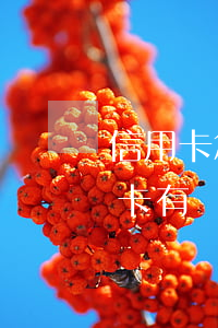 信用卡怎么查是否有逾期(怎么查自己的信用卡有沒有逾期)