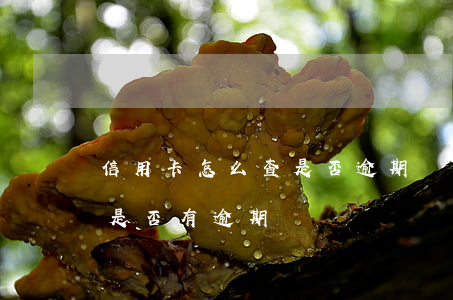 信用卡怎么查是否逾期還款-怎么看信用卡是否有逾期記錄