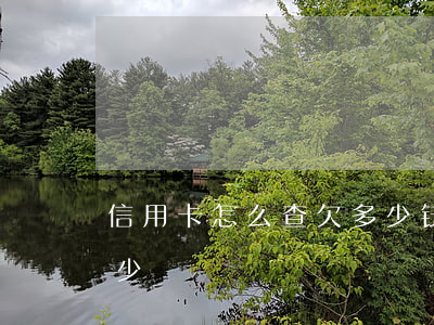 信用卡怎么查欠多少钱(如何查信用卡欠款多少)