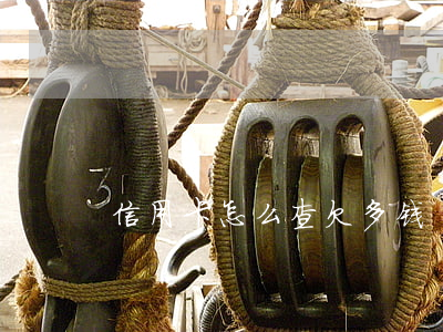 信用卡怎么查欠多钱