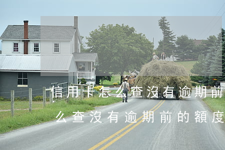信用卡怎么查沒有逾期前的額度-信用卡怎么查沒有逾期前的額度呢