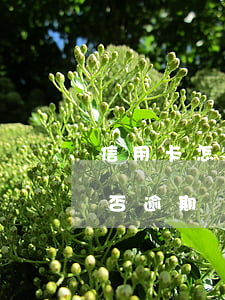 信用卡怎么查看是不是逾期(怎樣查信用卡是否逾期)