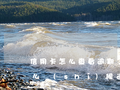 信用卡怎么查看逾期了多久(怎么查信用卡什么時(shí)候逾期)