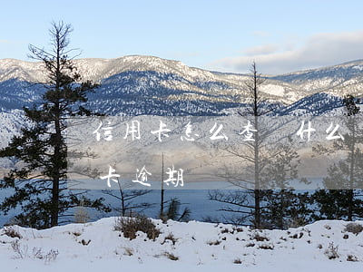 信用卡怎么查詢什么時候逾期的(怎么看信用卡逾期時間)