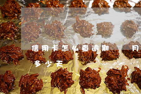 信用卡怎么查逾期幾個月(怎么查信用卡逾期多少天)